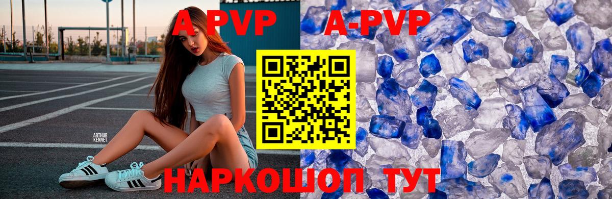 Альфа ПВП СК КРИС Назрань