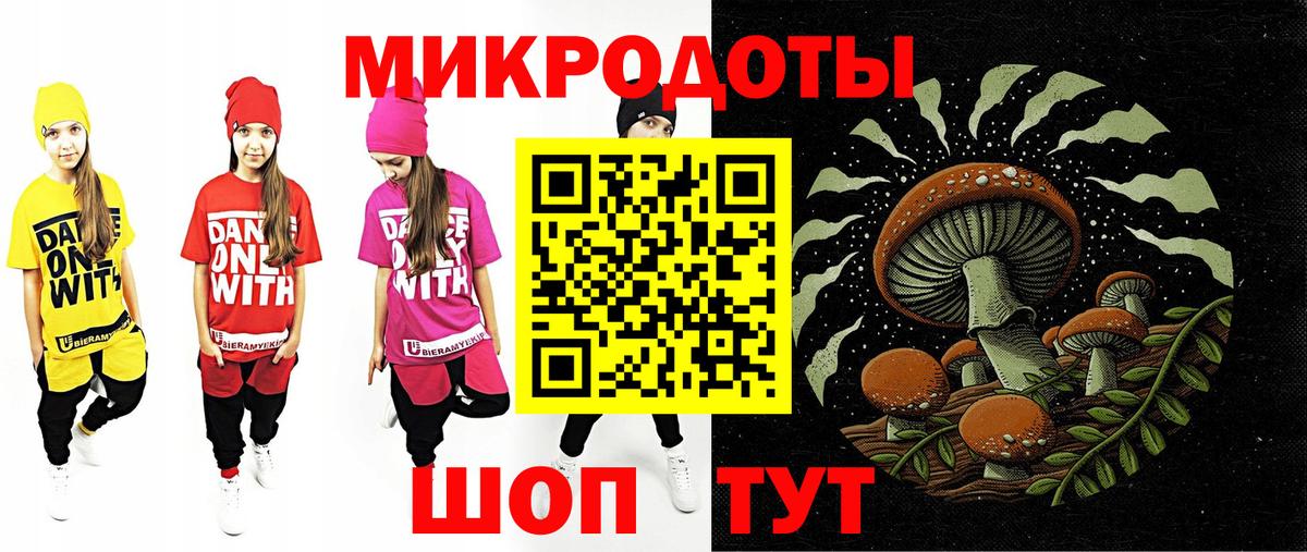 Псилоцибиновые грибы Cubensis Назрань