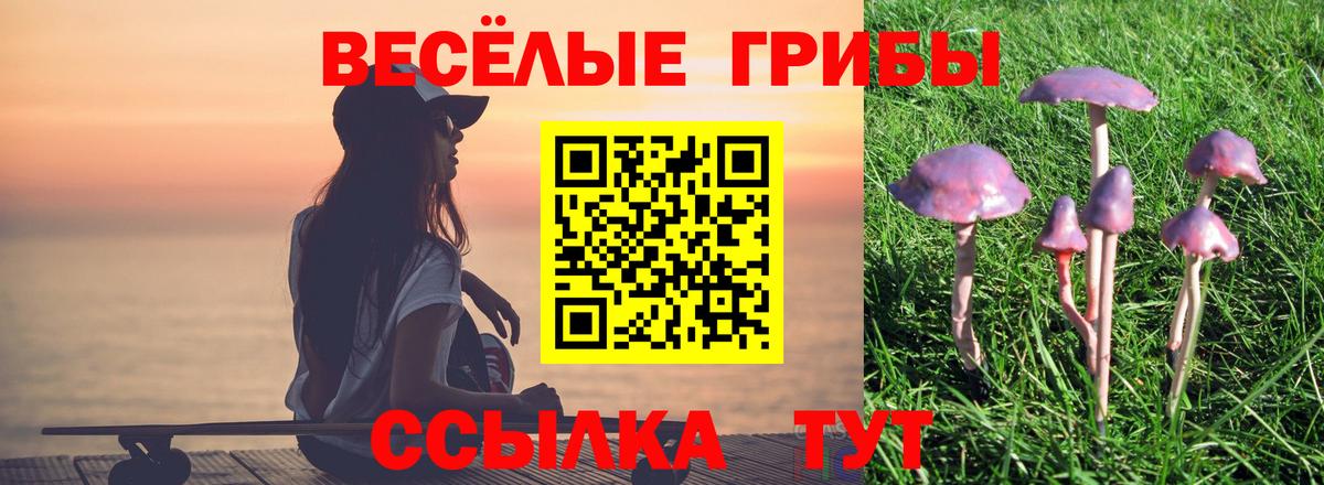 Назрань  Галлюциногенные грибы GOLDEN TEACHER  Вход с VPN  Псилоцибиновые грибы GOLDEN TEACHER 